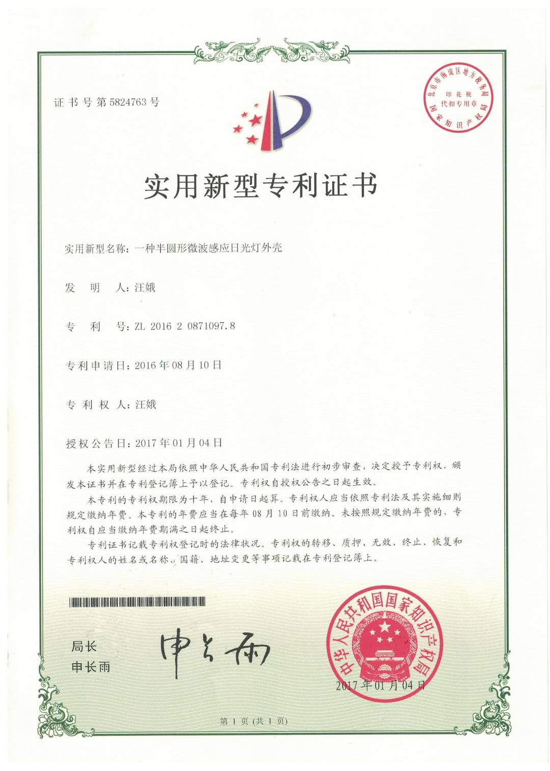 Appearance Patent Certificate (9)